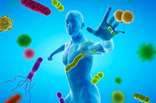 Carica l'immagine nel visualizzatore di Gallery, Inmune Forte - 450 gramos