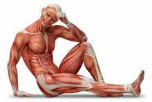 Load image into Gallery viewer, Weight Gainer (Ganador de Peso) Banana and Strawberry Flavor - 1800 grams (15g of proteins and 30g of carbohydrates per serving)
