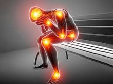 Load image into Gallery viewer, Fibro Balance 90 cáps
