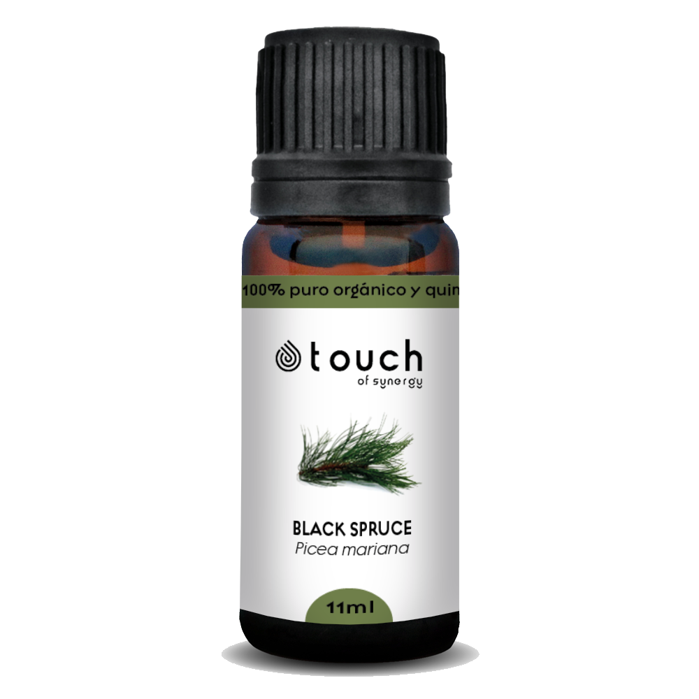 Black Spruce - Black Spruce